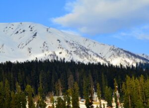 snow, kashmir, india, mountains, sky, landscape, winter, ice, gulmarg, himalayas, trees, tourism, travel, cold, scenic, nature, valley, high, skiing, clouds, scenery, forest, environment, woods, woodland, kashmir, gulmarg, gulmarg, gulmarg, gulmarg, gulmarg