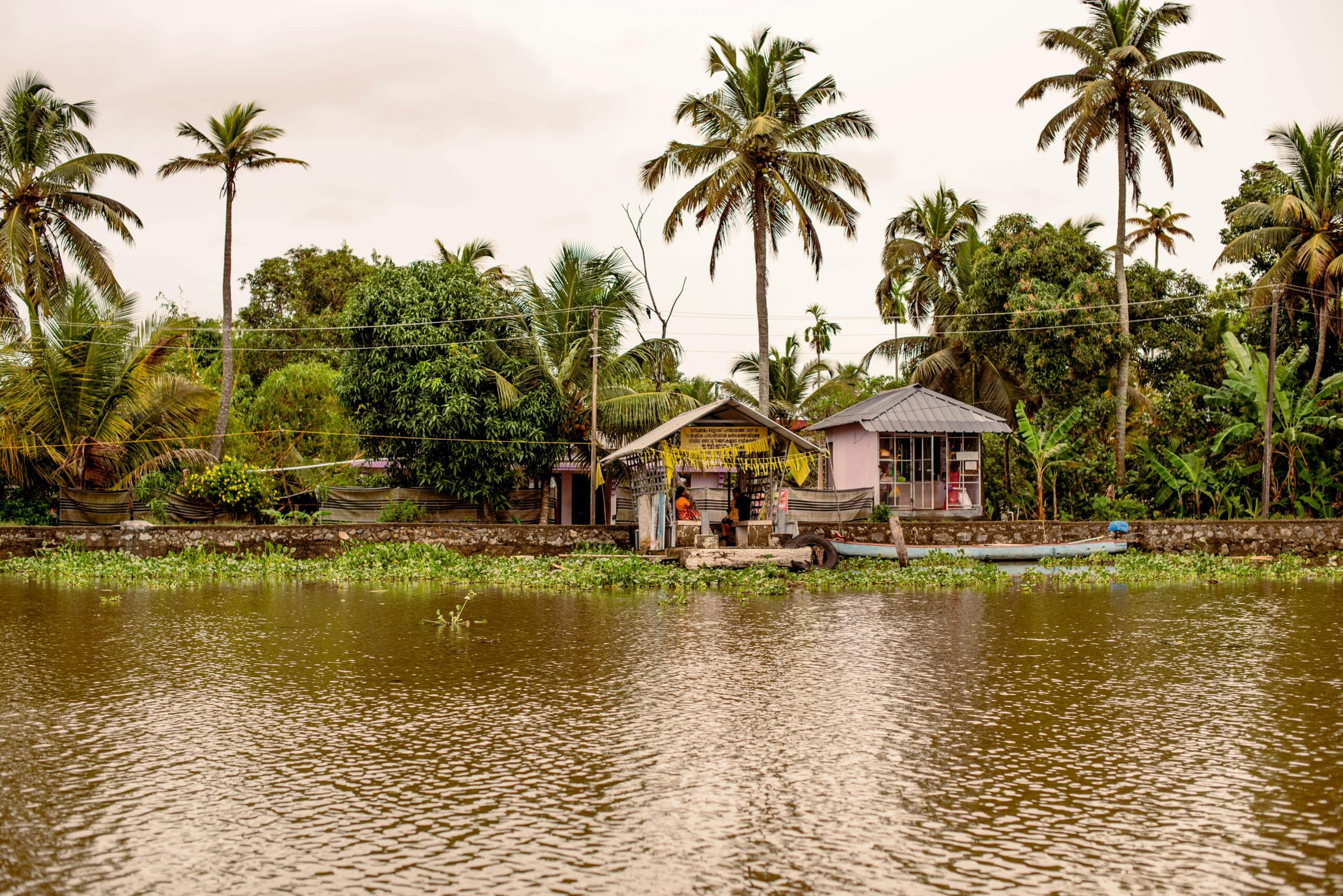 View of traditional houses along Kerala's serene backwaters surrounded by palm trees.